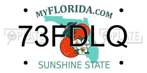 73FDLQ Florida License Plate