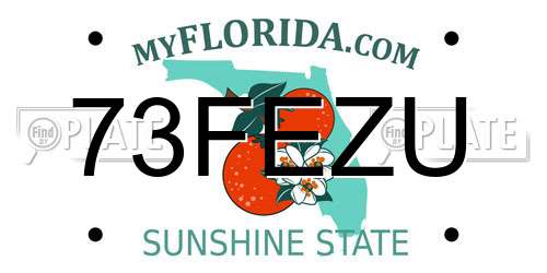 73FEZU Florida License Plate