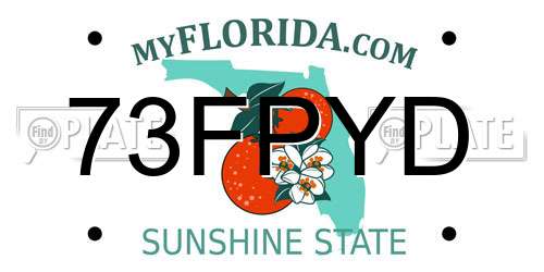 73FPYD Florida License Plate