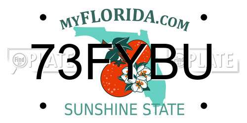 73FYBU Florida License Plate