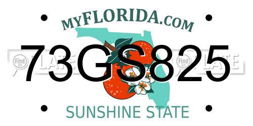 73GS825 Florida License Plate