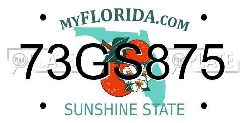 73GS875 Florida License Plate
