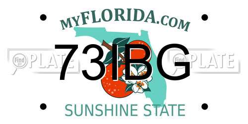73IBG Florida License Plate