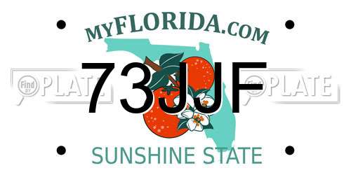 73JJF Florida License Plate