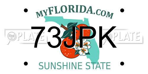 73JPK Florida License Plate