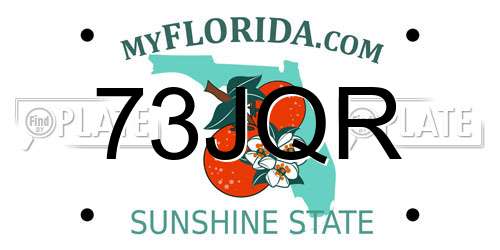 73JQR Florida License Plate
