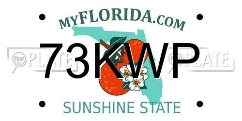 73KWP Florida License Plate
