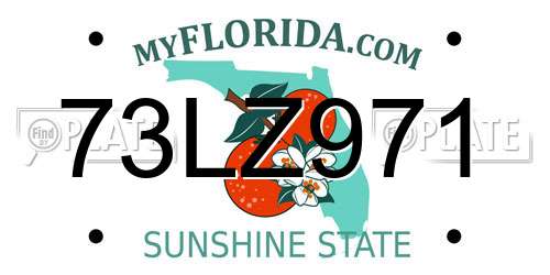 73LZ971 Florida License Plate