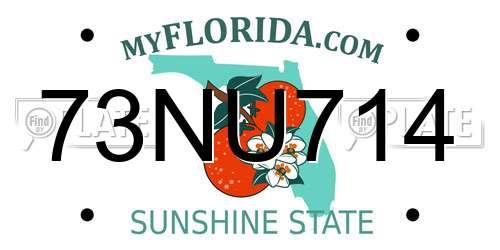 73NU714 Florida License Plate