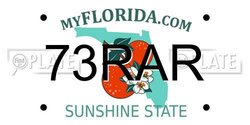 73RAR Florida License Plate
