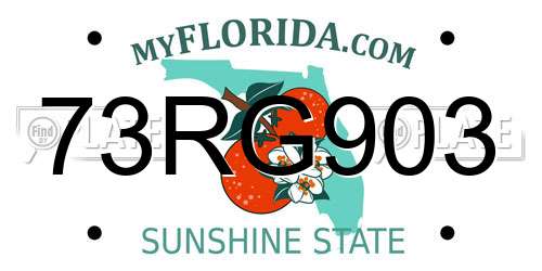 73RG903 Florida License Plate