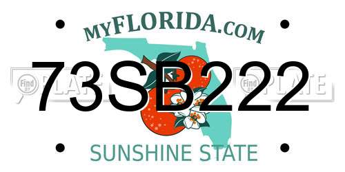 73SB222 Florida License Plate