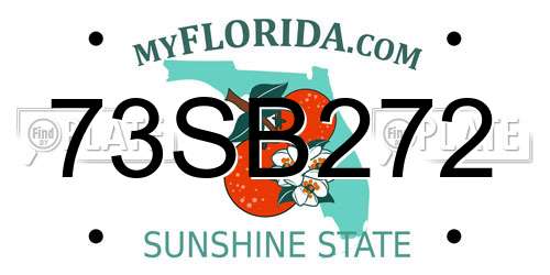 73SB272 Florida License Plate