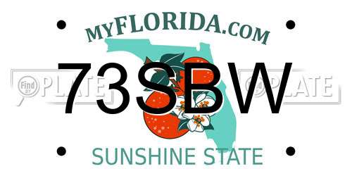 73SBW Florida License Plate