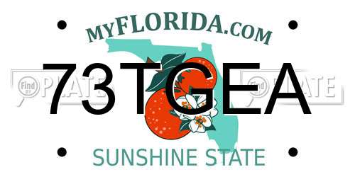73TGEA Florida License Plate