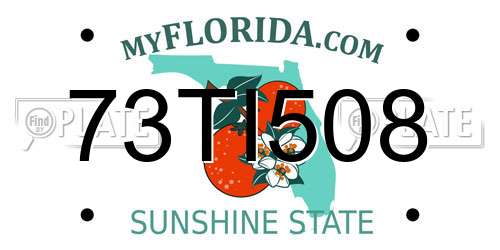 73TI508 Florida License Plate