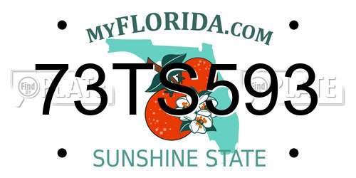 73TS593 Florida License Plate