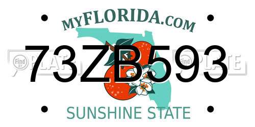 73ZB593 Florida License Plate