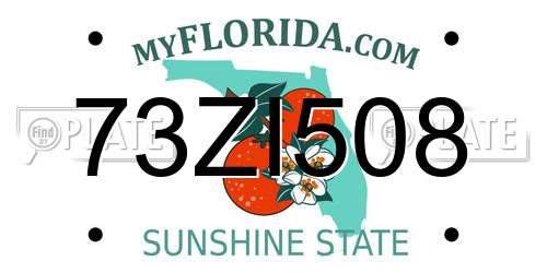 73ZI508 Florida License Plate