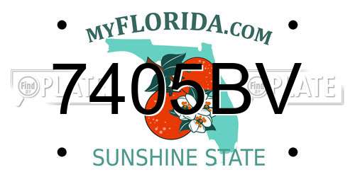 7405BV Florida License Plate
