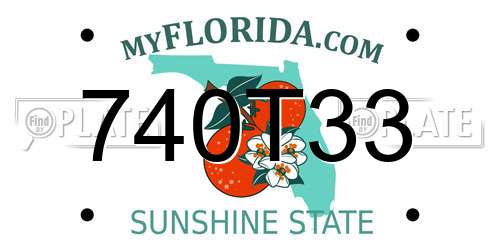 740T33 Florida License Plate