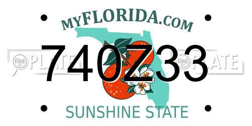 740Z33 Florida License Plate