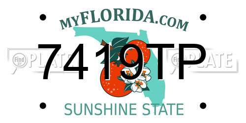 7419TP Florida License Plate