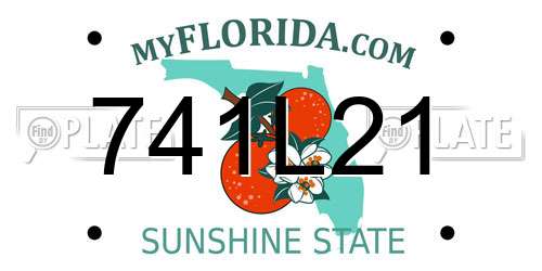 741L21 Florida License Plate