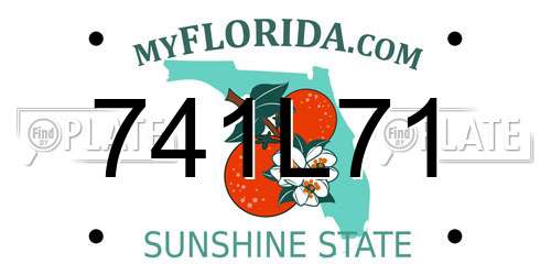 741L71 Florida License Plate