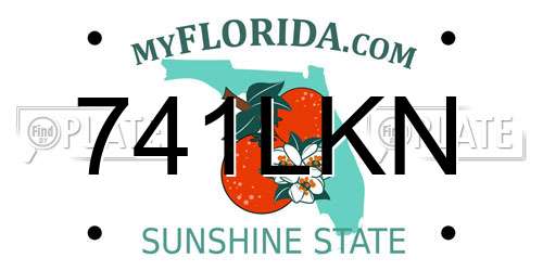 741LKN Florida License Plate