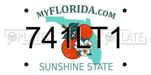 741LT1 Florida License Plate