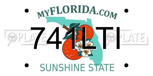 741LTI Florida License Plate