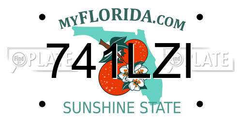 741LZI Florida License Plate