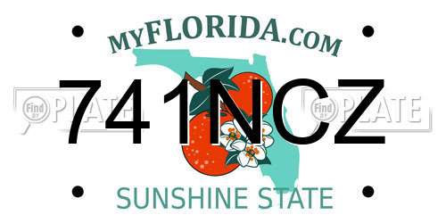 741NCZ Florida License Plate