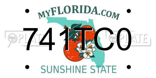 741TC0 Florida License Plate