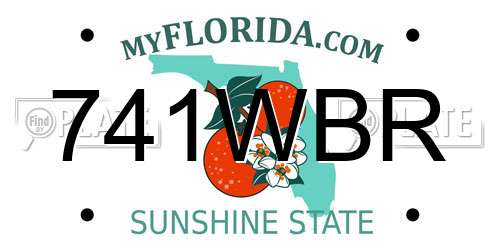 741WBR Florida License Plate