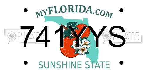 741YYS Florida License Plate