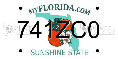 741ZC0 Florida License Plate