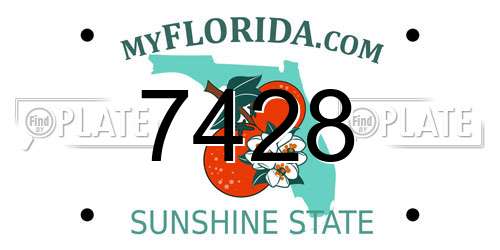 7428 Florida License Plate