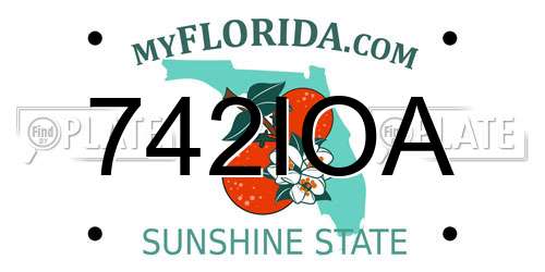 742IOA Florida License Plate