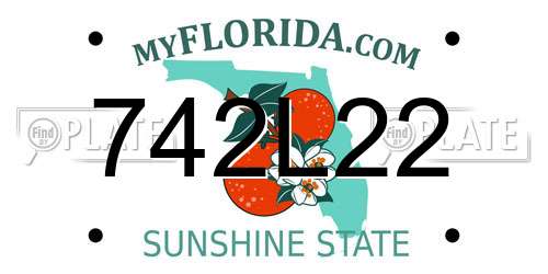 742L22 Florida License Plate