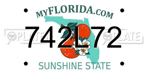 742L72 Florida License Plate