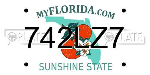 742LZ7 Florida License Plate