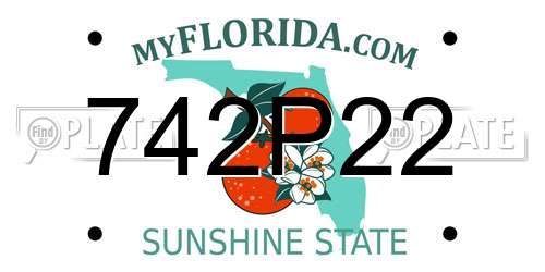 742P22 Florida License Plate
