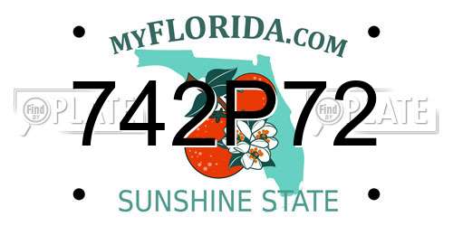 742P72 Florida License Plate