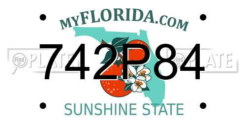 742P84 Florida License Plate