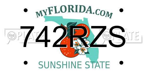 742RZS Florida License Plate
