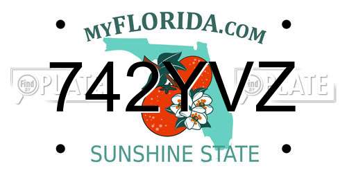 742YVZ Florida License Plate