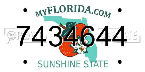 7434644 Florida License Plate