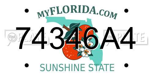 74346A4 Florida License Plate